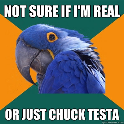 Not sure if I'm real Or just Chuck Testa  Paranoid Parrot