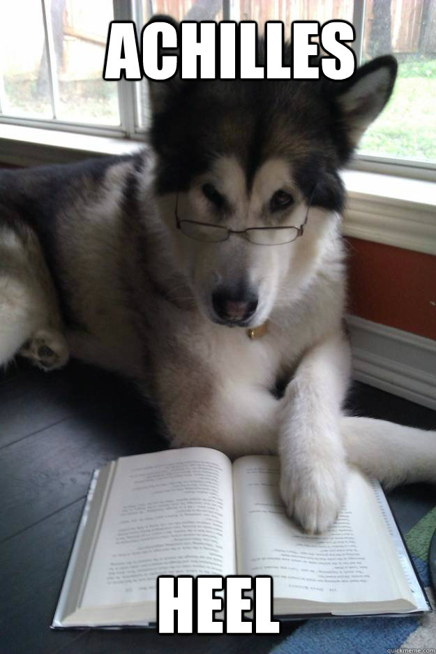 Achilles Heel - Achilles Heel  Condescending Literary Pun Dog