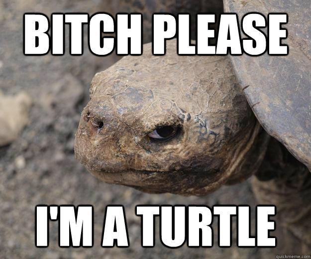 Bitch Please I'm a turtle  