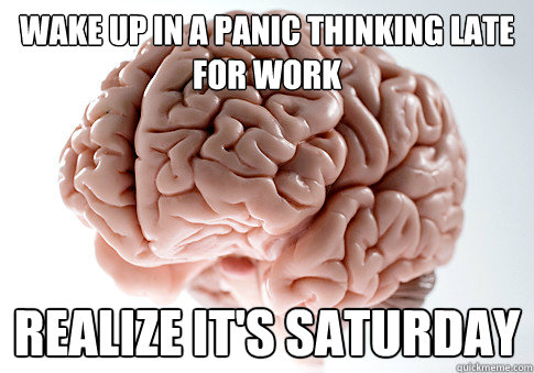 wake up in a panic thinking late for work realize it's saturday - wake up in a panic thinking late for work realize it's saturday  Scumbag Brain