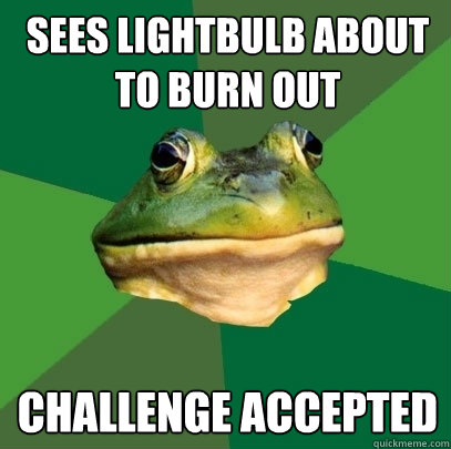 Sees lightbulb about to burn out Challenge accepted - Sees lightbulb about to burn out Challenge accepted  Foul Bachelor Frog