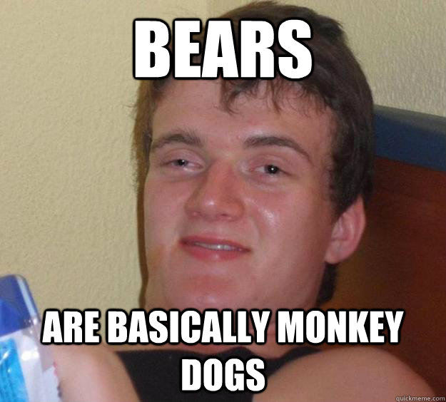 BEARS are basically monkey dogs  10 Guy