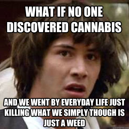 What if no one discovered cannabis  and we went by everyday life just killing what we simply though is just a weed  conspiracy keanu