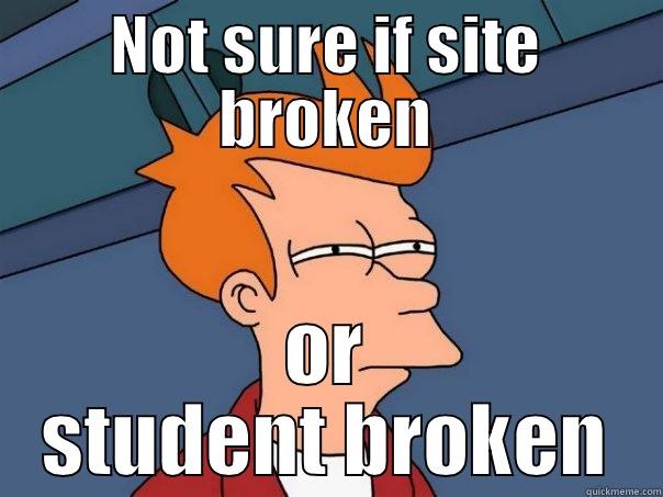 NOT SURE IF SITE BROKEN OR STUDENT BROKEN Futurama Fry