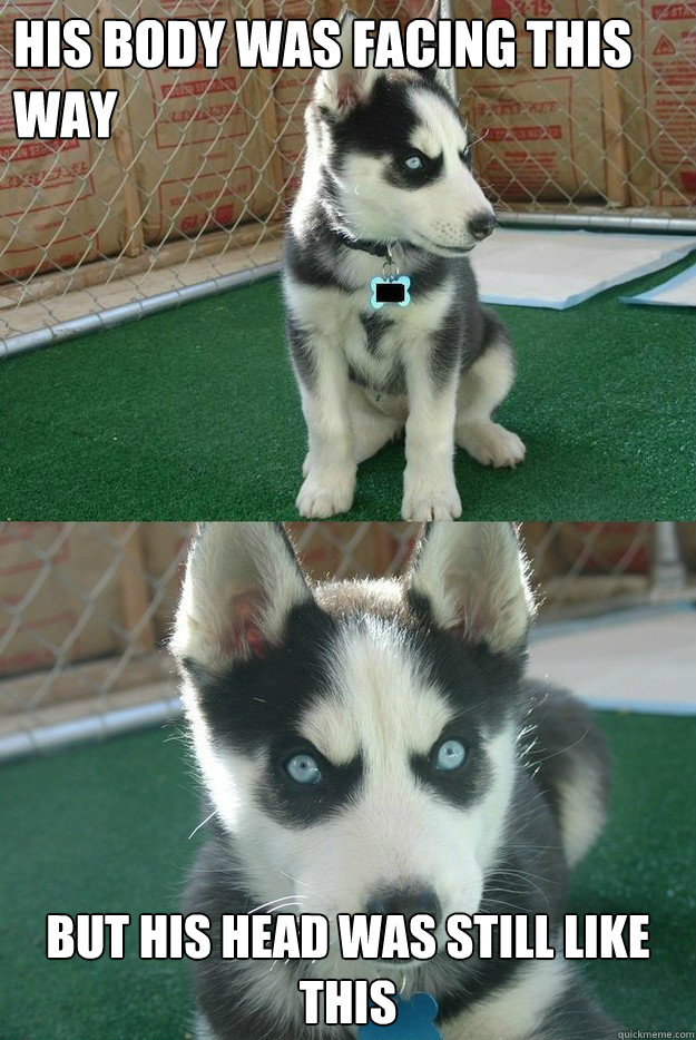 His Body was facing this way but his head was still like this  Insanity puppy