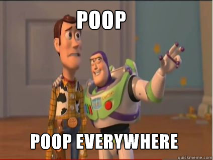 Poop Poop everywhere  woody and buzz