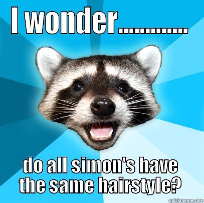 I WONDER............. DO ALL SIMON'S HAVE THE SAME HAIRSTYLE? Lame Pun Coon