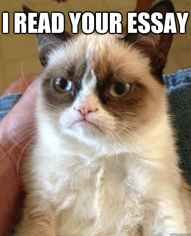 I read your essay   Grumpy Cat