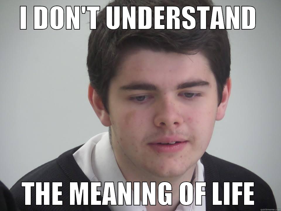 I DON'T UNDERSTAND THE MEANING OF LIFE Misc