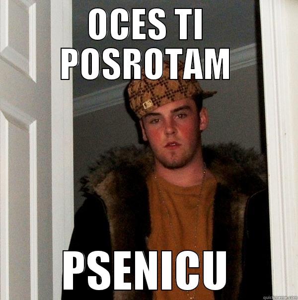 THE BEST ONE - OCES TI POSROTAM PSENICU Scumbag Steve