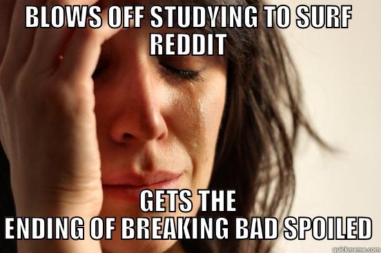 BLOWS OFF STUDYING TO SURF REDDIT GETS THE ENDING OF BREAKING BAD SPOILED First World Problems