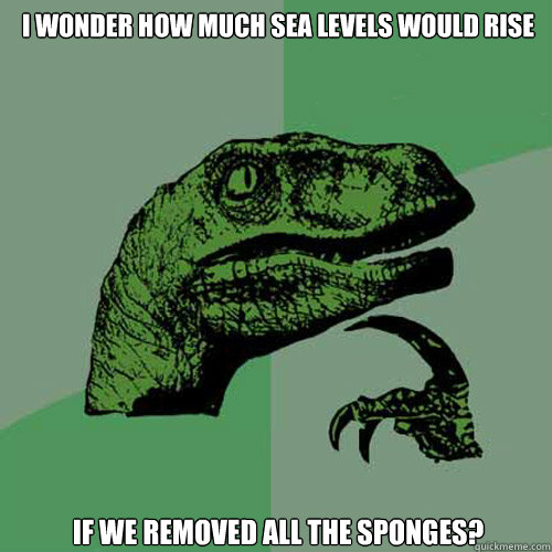 I wonder how much sea levels would rise if we removed all the sponges?  Philosoraptor