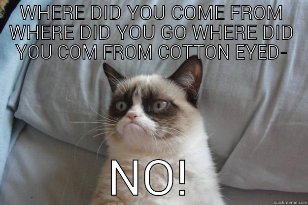 WHERE DID YOU COME FROM WHERE DID YOU GO WHERE DID YOU COM FROM COTTON EYED- NO! Grumpy Cat