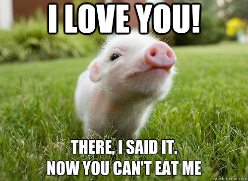 I Love you! there, i said it.
now you can't eat me  baby pig
