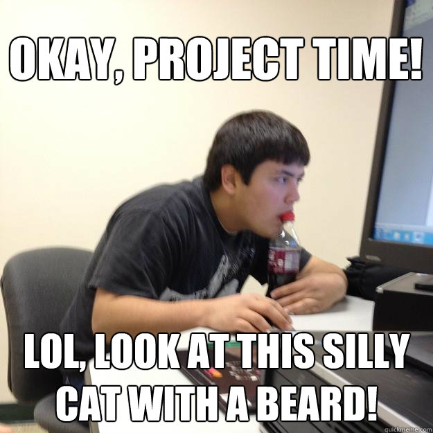 Okay, project time! LOL, look at this silly cat with a beard!  