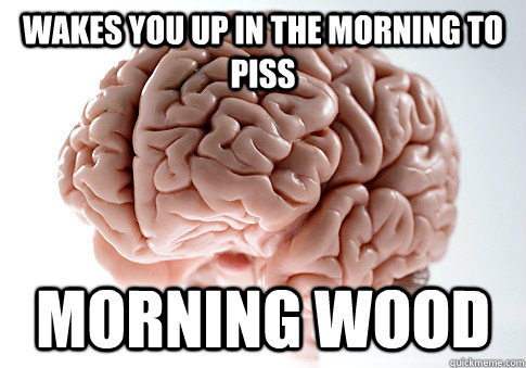 Wakes you up in the morning to piss Morning Wood  Scumbag Brain