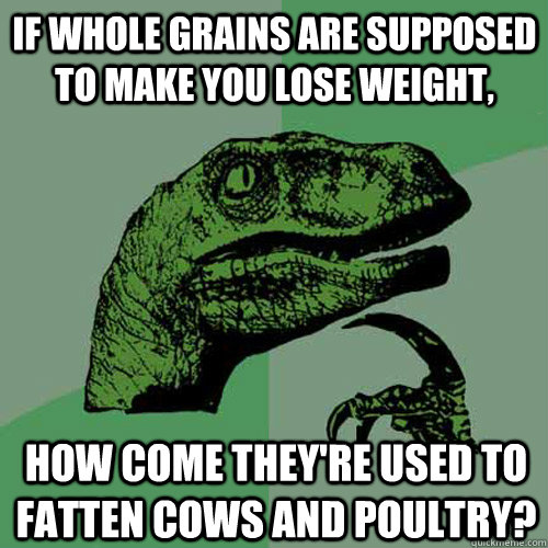 If whole grains are supposed to make you lose weight, how come they're used to fatten cows and poultry?  Philosoraptor