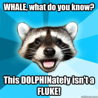 WHALE, what do you know? This DOLPHINately isn't a FLUKE!   Lame Pun Coon