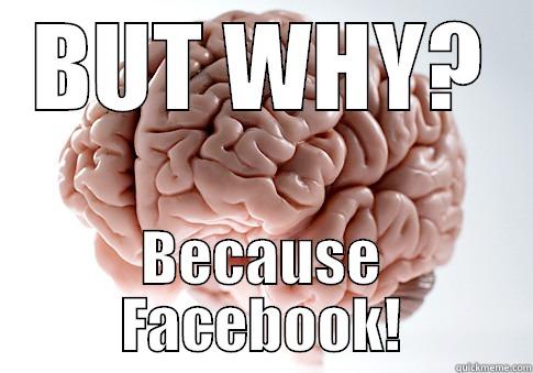 BUT WHY? BECAUSE FACEBOOK! Scumbag Brain