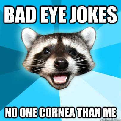 BAD EYE JOKES NO ONE CORNEA THAN ME  Lame Pun Coon