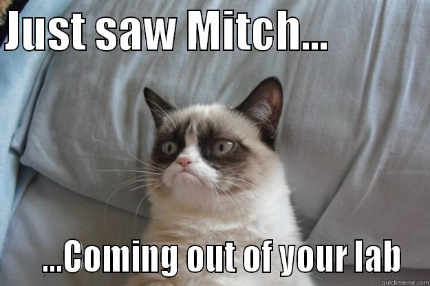 Plexon Watchcat - JUST SAW MITCH...               ...COMING OUT OF YOUR LAB Grumpy Cat