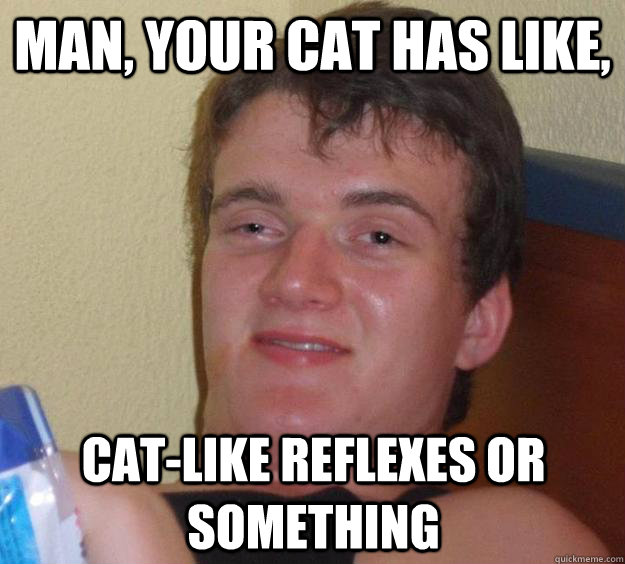 Man, your cat has like, cat-like reflexes or something - Man, your cat has like, cat-like reflexes or something  10 Guy