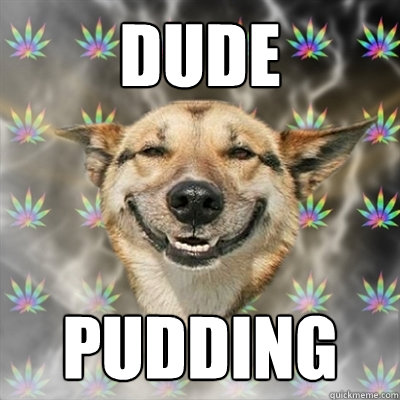 Dude pudding  Stoner Dog