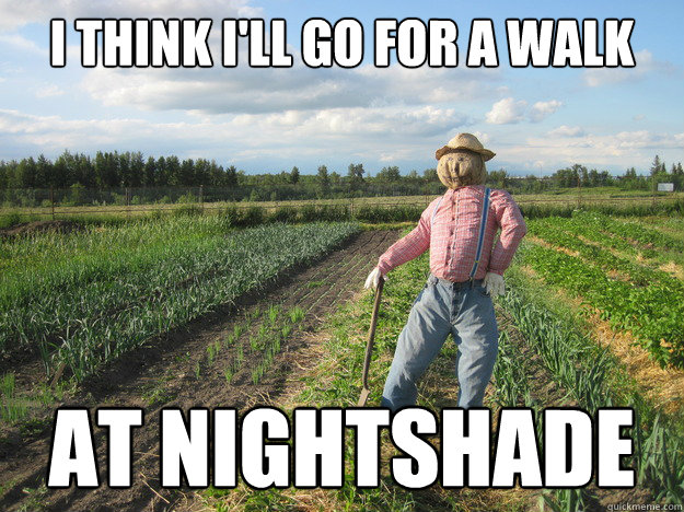 I think I'll go for a walk at nightshade  Scarecrow