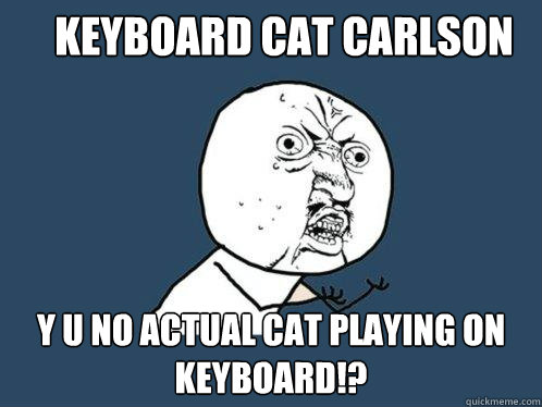 Keyboard cat Carlson y u no actual cat playing on keyboard!?  Y U No