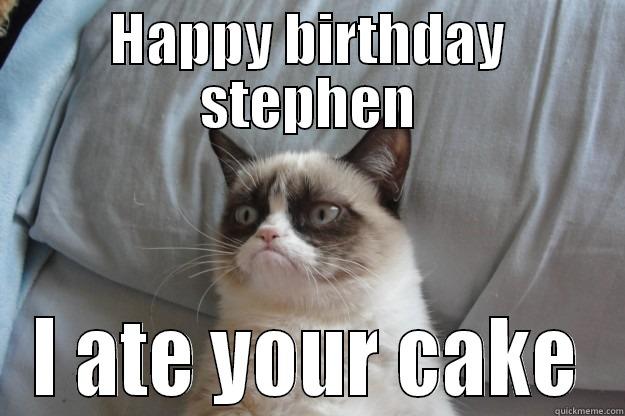 HAPPY BIRTHDAY STEPHEN I ATE YOUR CAKE Grumpy Cat