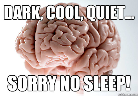 Dark, cool, quiet... sorry no sleep!  Scumbag Brain