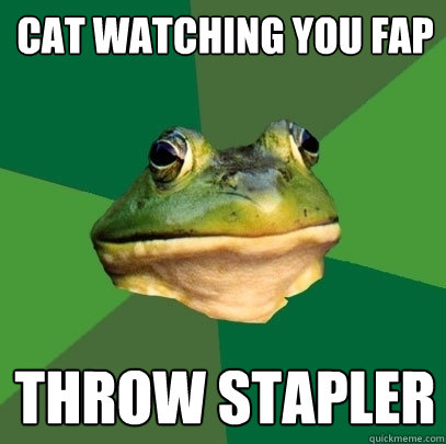 cat watching you fap throw stapler  Foul Bachelor Frog