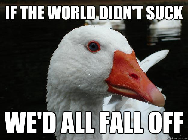 If the world didn't suck  we'd all fall off  