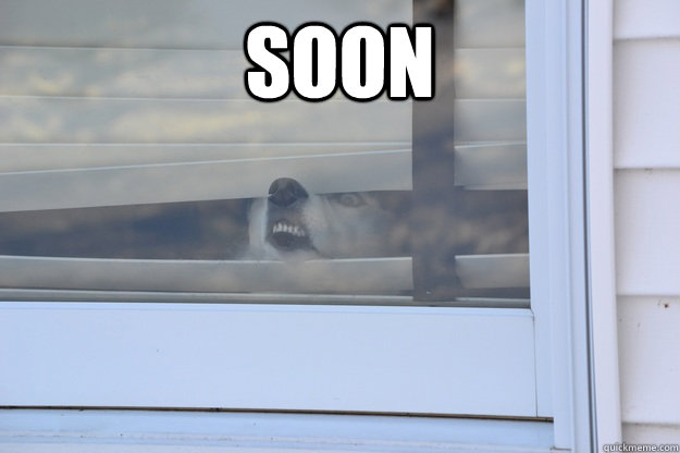 SOON     - SOON      soon husky