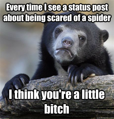 Every time I see a status post about being scared of a spider I think you're a little bitch  Confession Bear