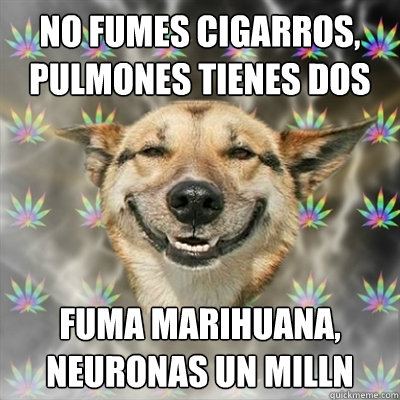 No fumes cigarros, pulmones tienes dos Fuma marihuana, neuronas un millón - No fumes cigarros, pulmones tienes dos Fuma marihuana, neuronas un millón  Stoner Dog