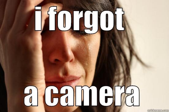 I FORGOT  A CAMERA First World Problems