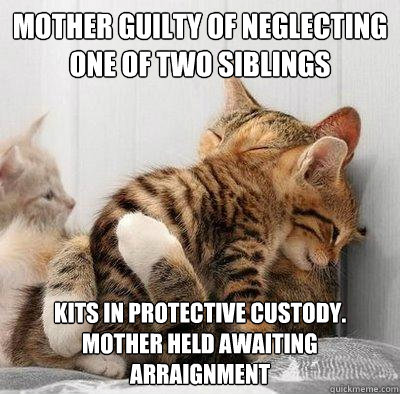 mother guilty of neglecting one of two siblings kits in protective custody. mother held awaiting arraignment - mother guilty of neglecting one of two siblings kits in protective custody. mother held awaiting arraignment  Kitty Hug