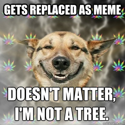 Gets replaced as meme Doesn't matter, I'm not a tree.  Stoner Dog