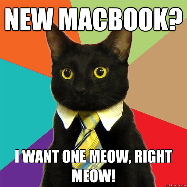 New Macbook? I want one Meow, right meow!  Business Cat