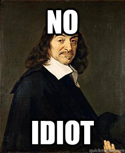 NO IDIOT - NO IDIOT  Descartes