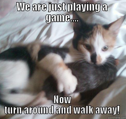 WE ARE JUST PLAYING A GAME.... NOW TURN AROUND AND WALK AWAY! Misc