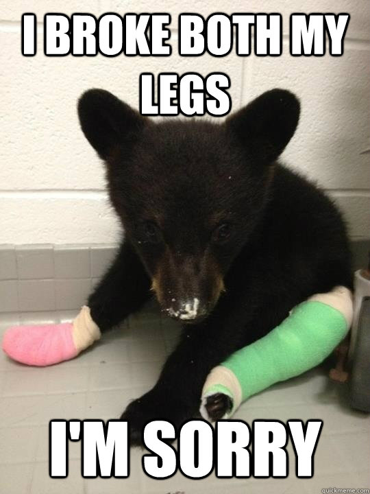 I broke both my legs I'm sorry - I broke both my legs I'm sorry  pathetic bear