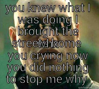 YOU KNEW WHAT I WAS DOING I BROUGHT THE STREETS HOME  WHX YOU CRYING NOW YOU DID NOTHING TO STOP ME WHY  Matrix Morpheus