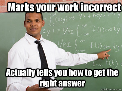 Marks your work incorrect Actually tells you how to get the right answer   Good Guy Teacher