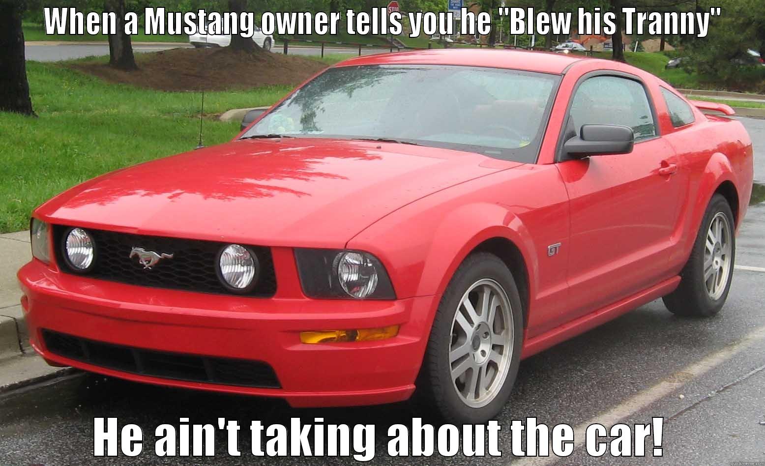  WHEN A MUSTANG OWNER TELLS YOU HE 