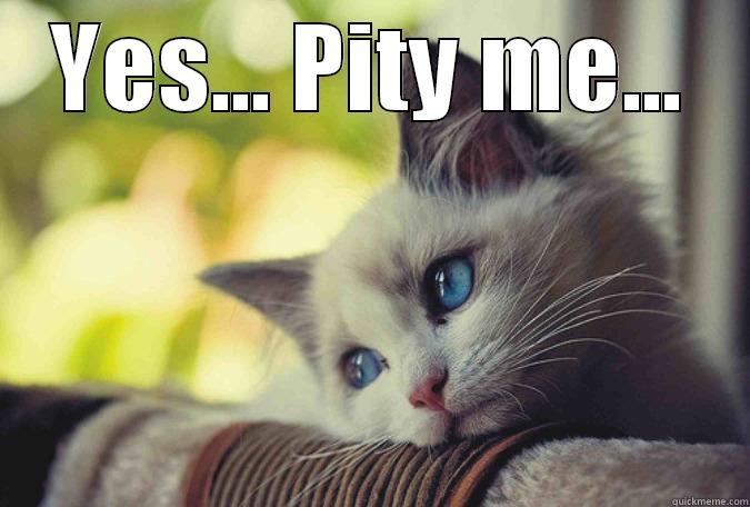 Pity Cat - YES... PITY ME...  Misc