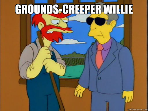 Grounds-creeper Willie   