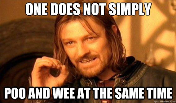 One does not simply Poo and Wee at the same time  