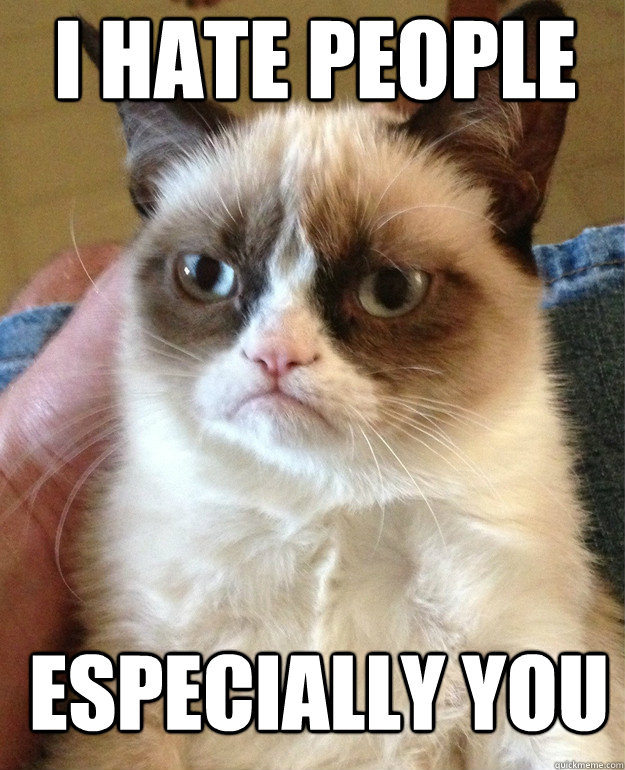 I hate people especially you  Grumpy Cat